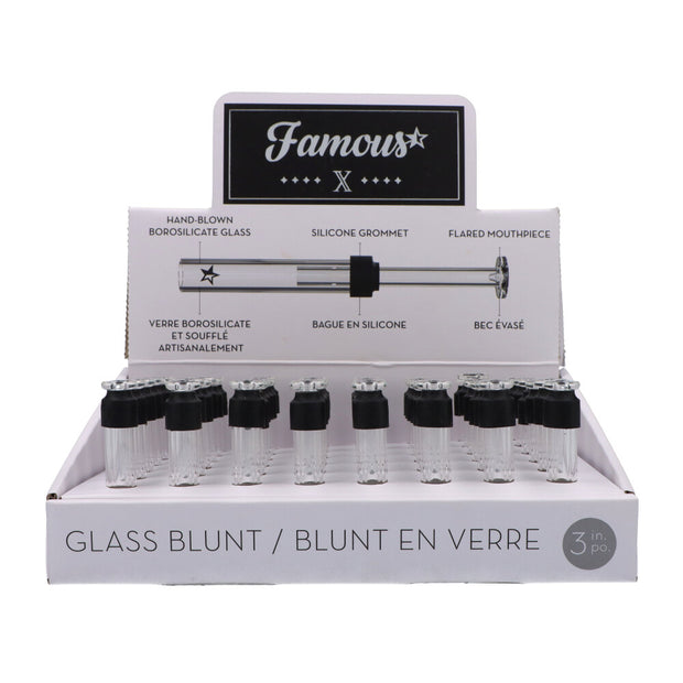 Famous X 3" Glass Blunt 48 Box