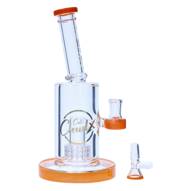 Valiant 8-inch Showerhead Dual-Use Water Pipe w/ Coloured Accents